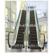 Shandong Fuji Escalator пассажирский тротуар использование Япония технология, эскалатор производство цена.